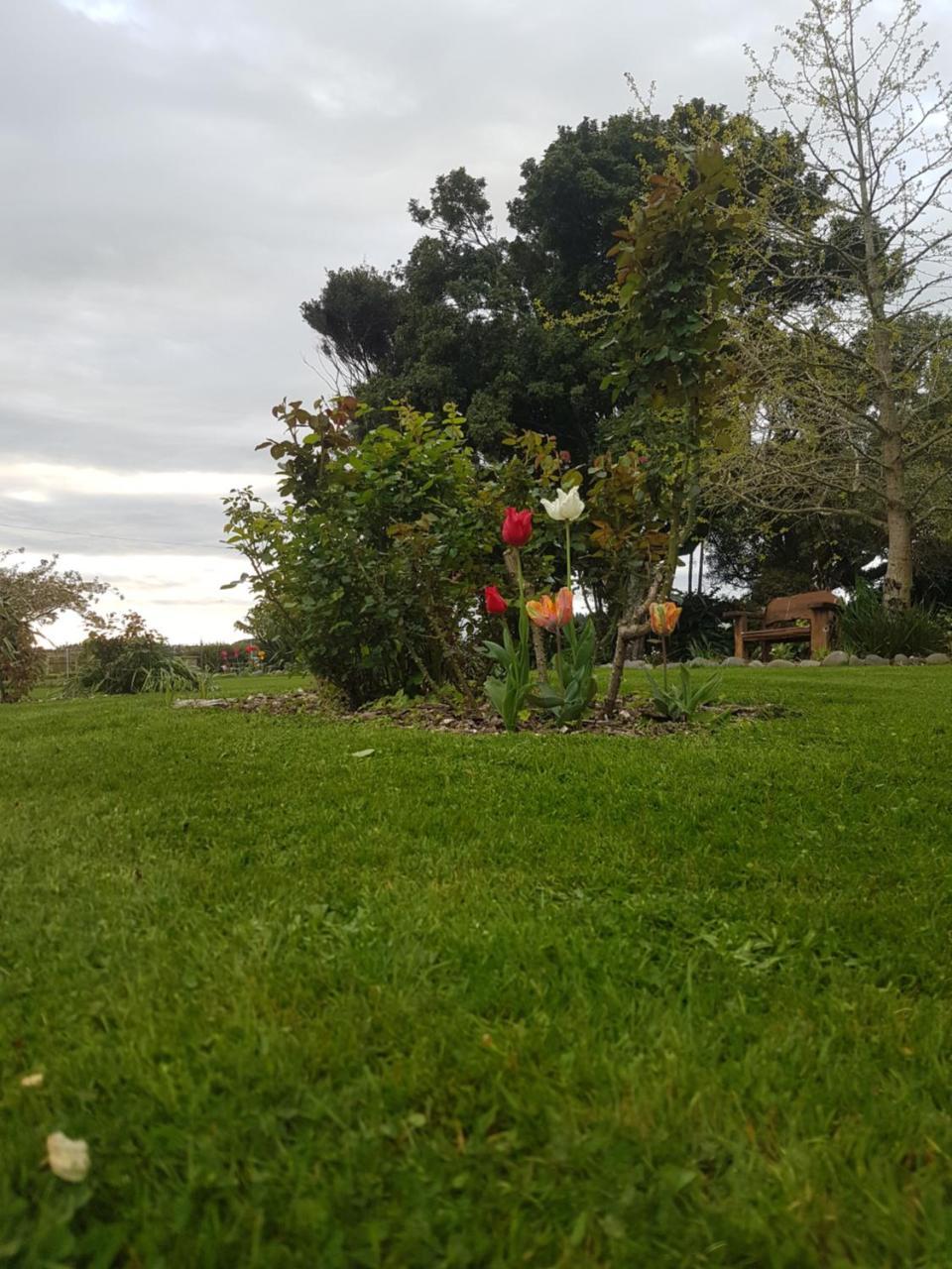 Bulls Lancewood Lodge מראה חיצוני תמונה